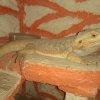 CAM00364