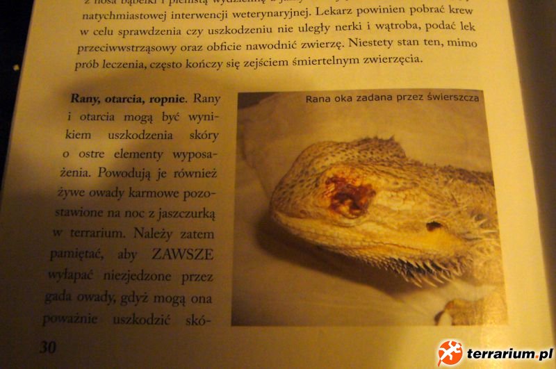 wygryzione oczko
