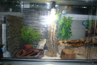 moje terra moje terra