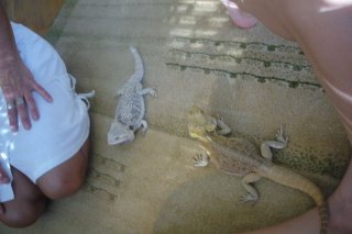 Porównanie Porównanie