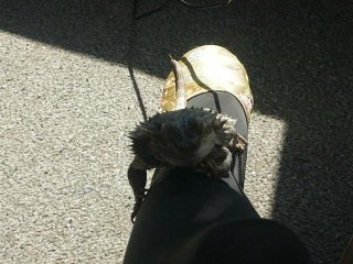 wspinaczka wspinaczka