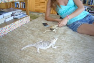 Wizyta Gucia Wizyta Gucia