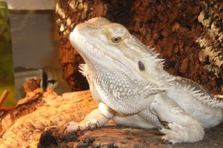 Przed karmieniem Przed karmieniem