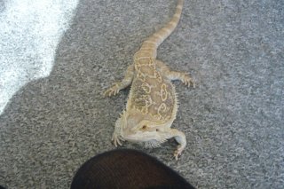 po spacerze po spacerze