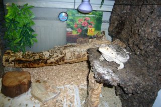 Moje terra Moje terra