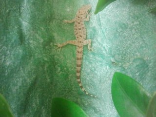 2014 01 27 01.02.51 2014 01 27 01.02.51