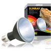 SunRay Bulb