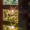 s0.zmniejszacz.pl DSCF4074 zmniejszacz Pl 319148