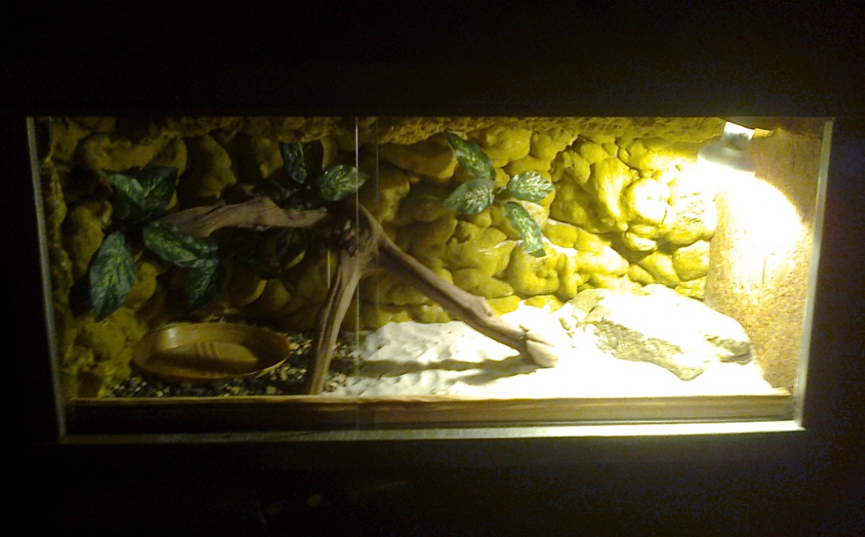 Moje pierwsze  terrarium :D