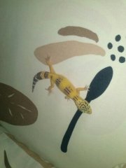 1391870324754 1391870324754