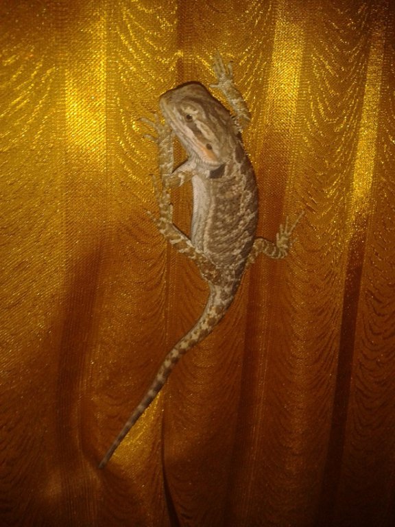 2014 02 05 21.42.07