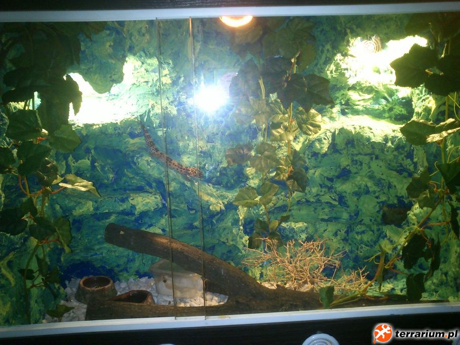 DSC 0127