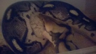 WP 20140404 005 WP 20140404 005