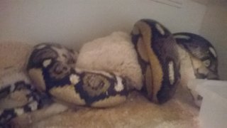 WP 20140404 003 WP 20140404 003