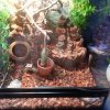 terrarium przed przerobka.