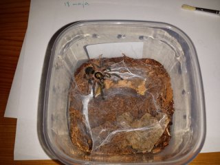 20140424 203658