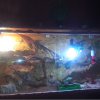 IMG 20140502 141051