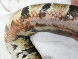 zmiany9.05.3 zmiany9.05.3