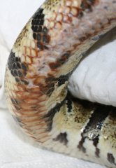 zmiany9.05.2 zmiany9.05.2