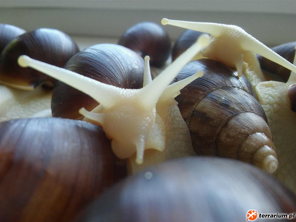20150905 112805