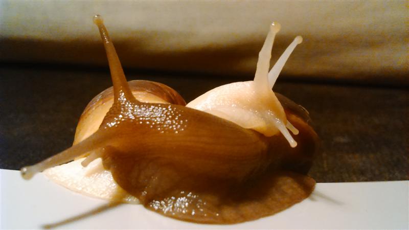 DSC 0156