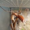 DSC00065