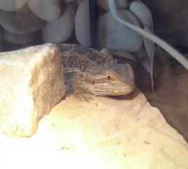 CAM00252 1 CAM00252 1