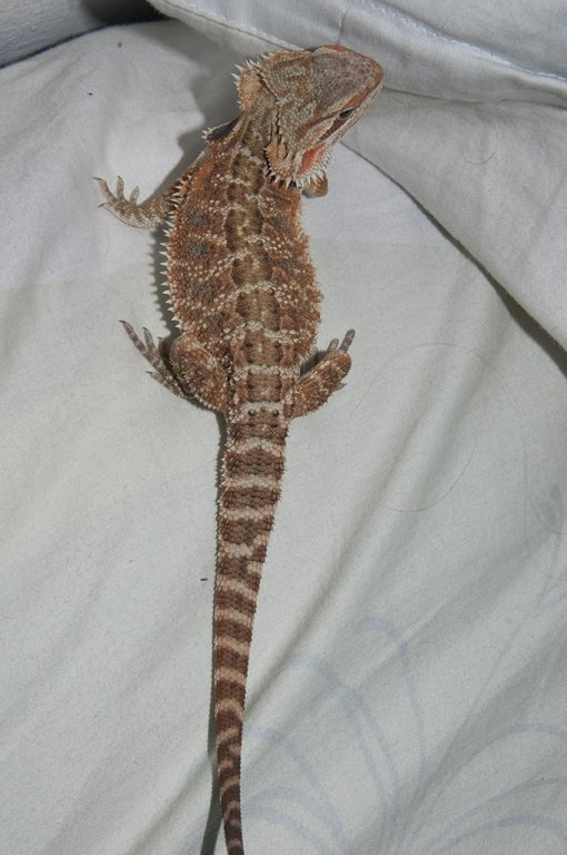 DSC5140