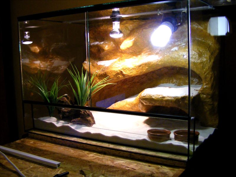 Terrarium III