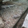 20140614 162555 (1)