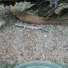 20140614 162538 (1)