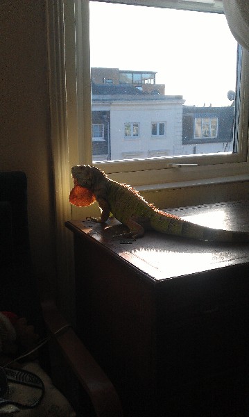IMAG0021