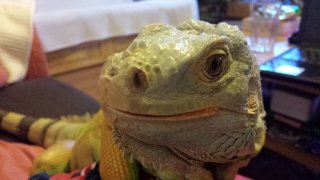 20140208 182938 20140208 182938