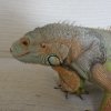 20130504 131041
