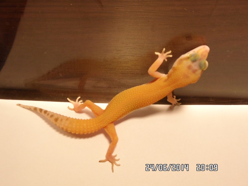 3d