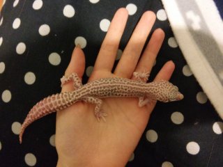 20160228 215719.j 20160228 215719.j