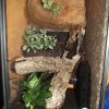 terrarium