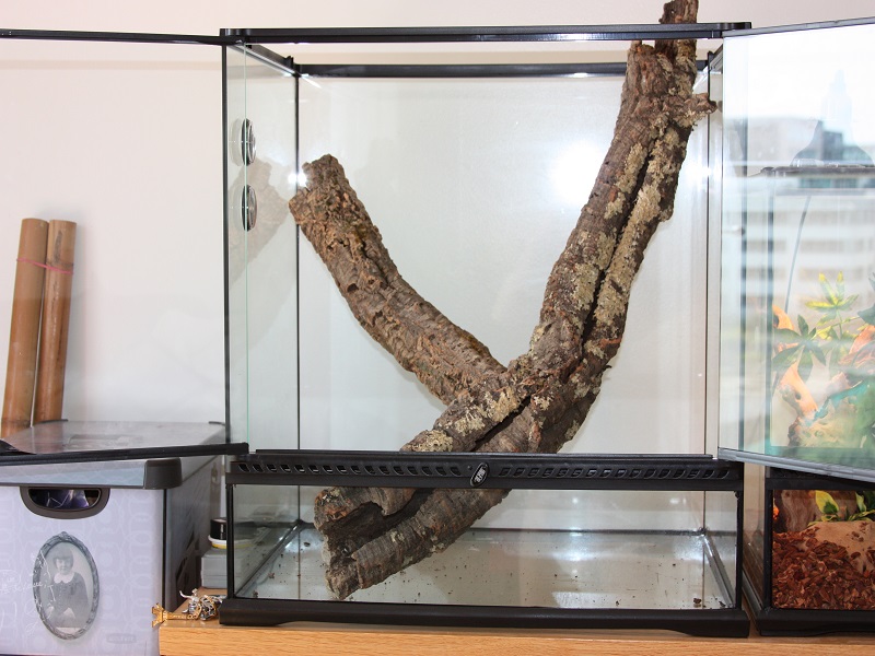 Terrarium budowa 800x600 tuby korkowe