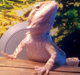 IMG 20140916 201335 IMG 20140916 201335