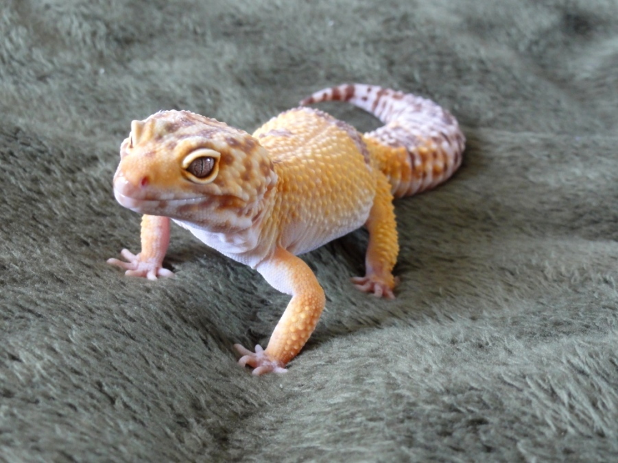 Ucieczka2