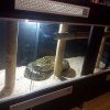 IMG 20141028 202405 2CS