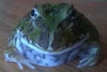 WP 20140825 002 WP 20140825 002