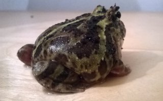 WP 20150202 017 WP 20150202 017