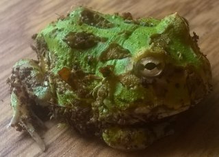 WP 20140819 017 WP 20140819 017