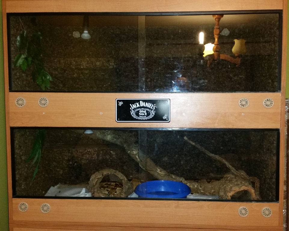 Terrarium