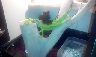 IMG 20141219 160746 IMG 20141219 160746