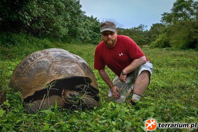 Galapagos - Santa Cruz