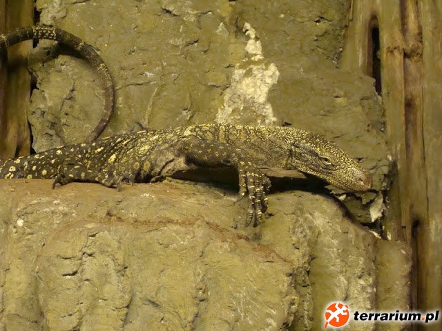 DSC00125