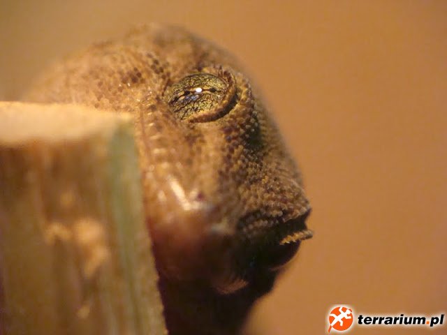 DSC09944