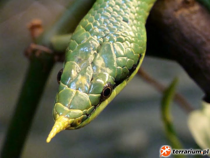 Zoo Wrocław